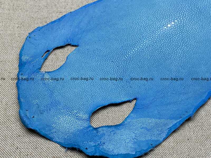 Полированная кожа морского ската 20см 2390