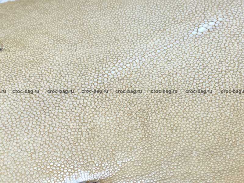 Полированная кожа морского ската 20см 2396