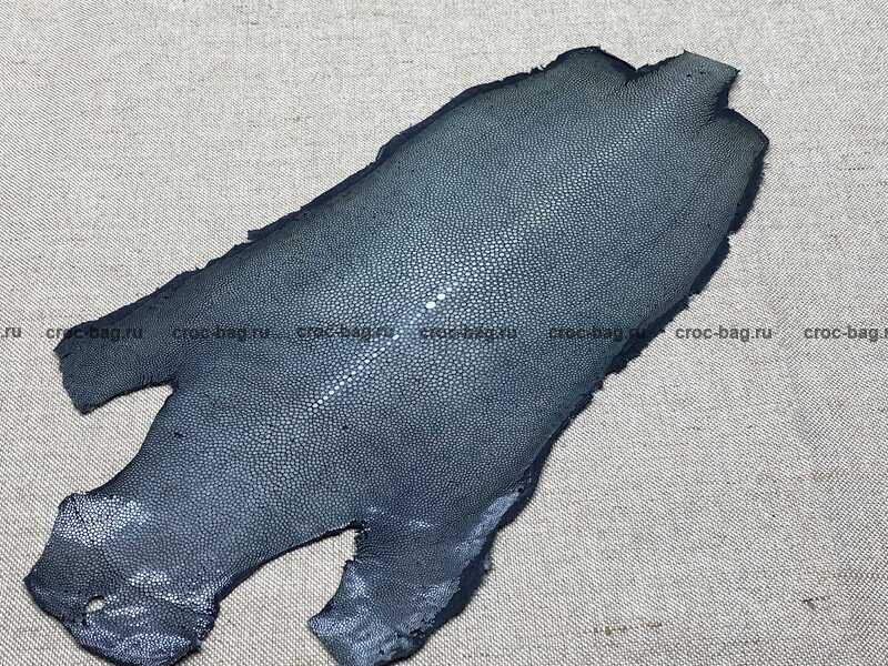 Полированная кожа морского ската 20см 2388