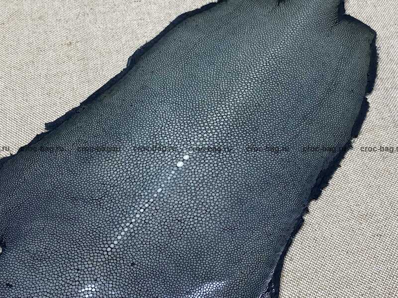 Полированная кожа морского ската 20см 2388