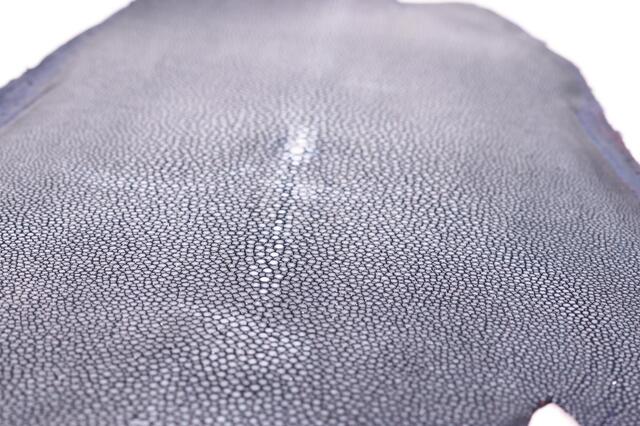 Полированная кожа морского ската ширина 20см 2017