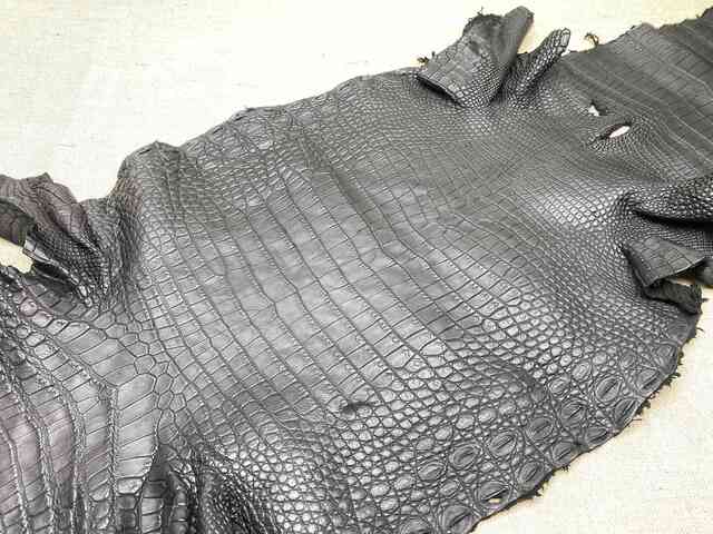 Одежная кожа крокодила, брюхо 37см 2219