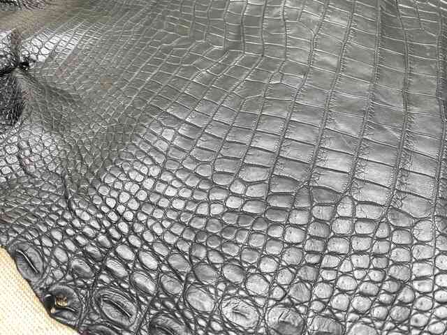 Одежная кожа крокодила, брюхо 36см 2215