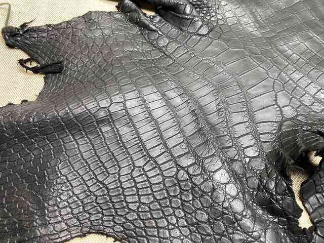 Одежная кожа крокодила, брюхо 38см 2214