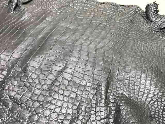 Одежная кожа крокодила, брюхо 38см 2214