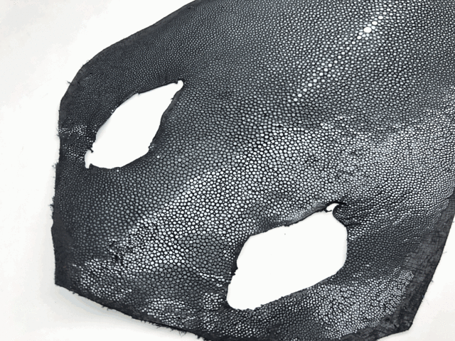 Полированная кожа морского ската ширина 18см 2014