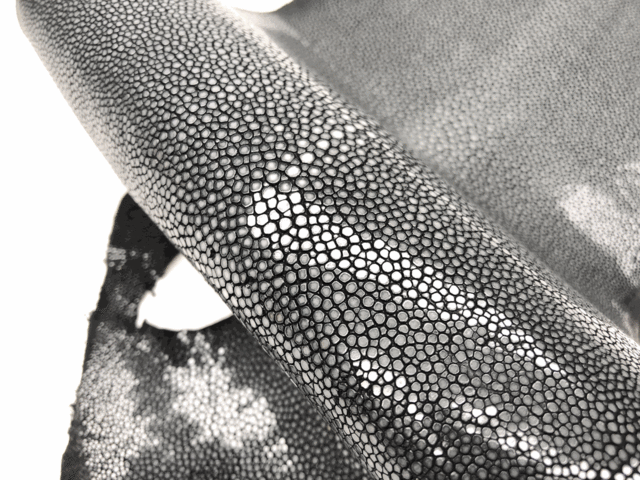 Полированная кожа морского ската ширина 18см 2014