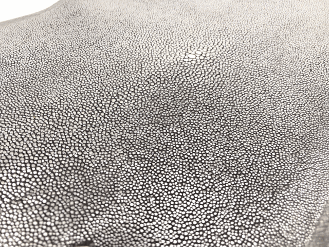 Полированная кожа морского ската ширина 15см 2002