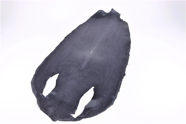 Полированная кожа морского ската ширина 33см 2012