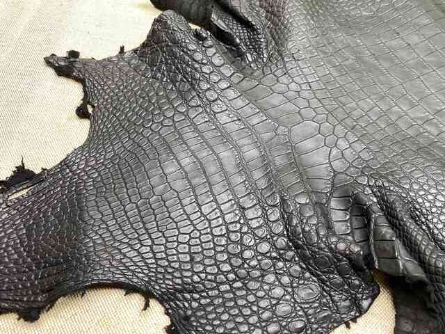 Кожа крокодила брюхо 39см 2253